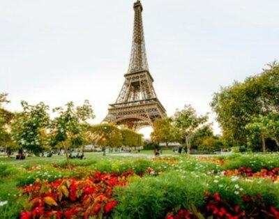 Pièce Lumineuse à Partager à Paris